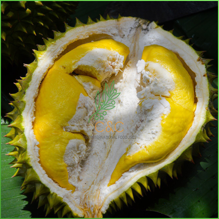 Durian - Smelly But Incredibly Nutritious