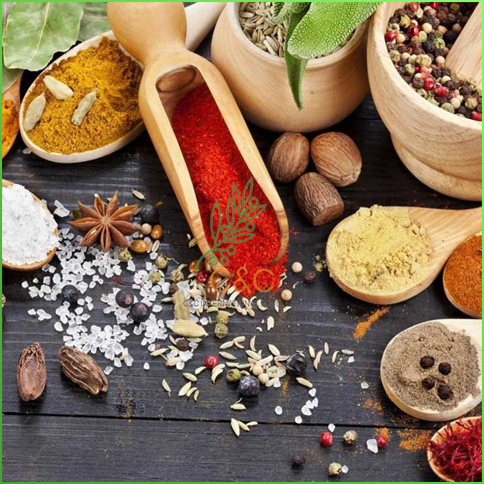 Pocket Spices To Cook Delicous And Convenient Dishes